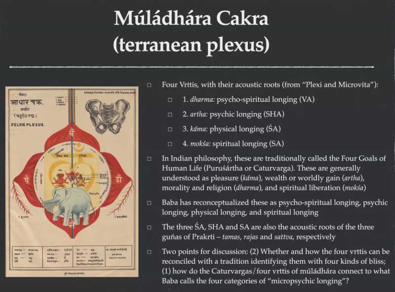 Diving Deep into Vrttis